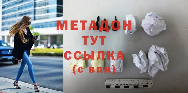 прущие грибы Белокуриха