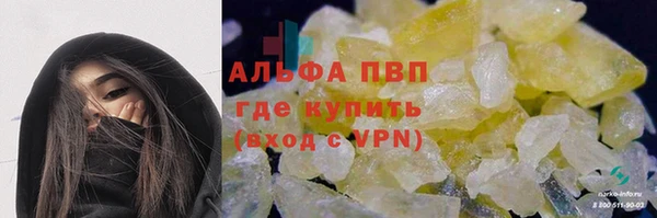 прущие грибы Белокуриха