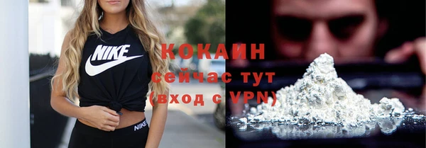 прущие грибы Белокуриха