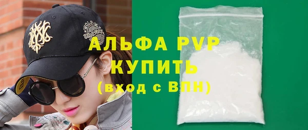 прущие грибы Белокуриха