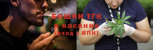 прущие грибы Белокуриха