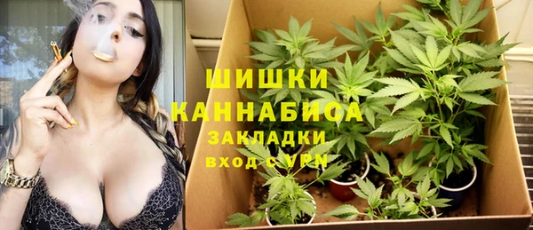 прущие грибы Белокуриха
