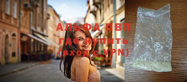 прущие грибы Белокуриха