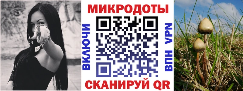 как найти   кракен как войти  Псилоцибиновые грибы прущие грибы  Верхняя Пышма 