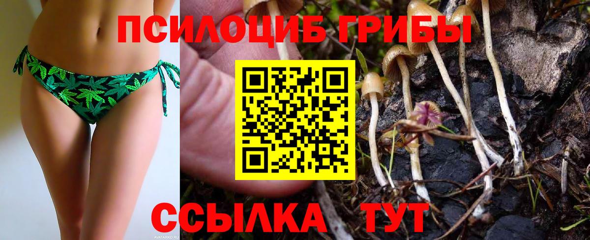 Псилоцибиновые грибы прущие грибы Верхняя Пышма