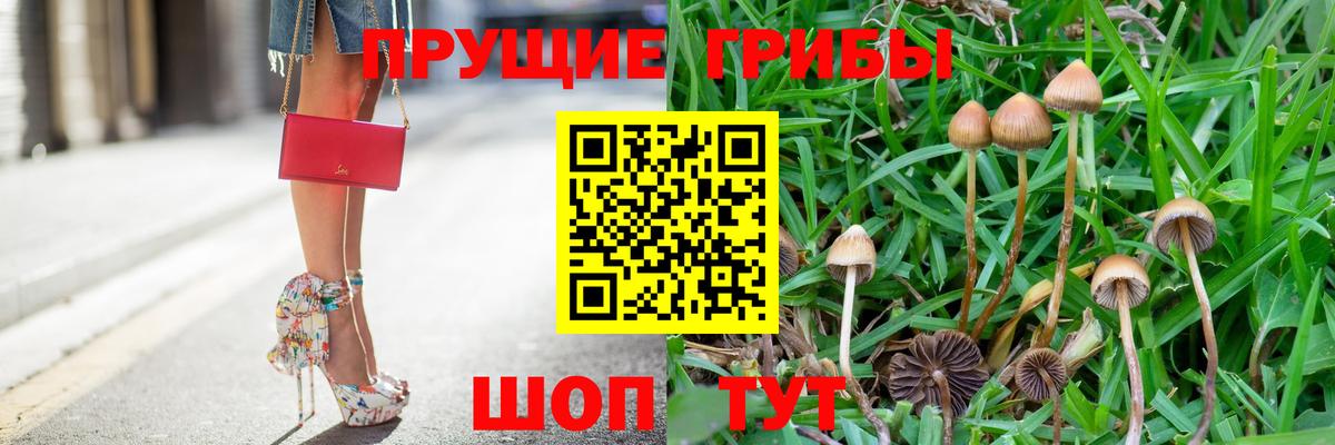 закладки  Галлюциногенные грибы Psilocybine cubensis  Вход с VPN  Верхняя Пышма 